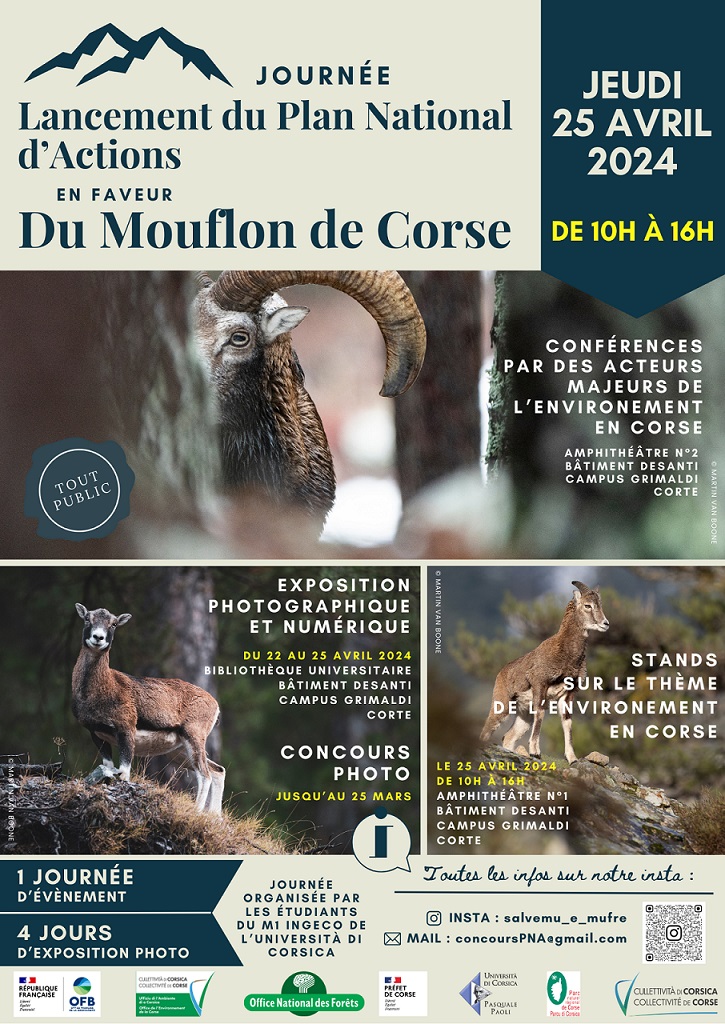 Affiche lancement PNA mouflon